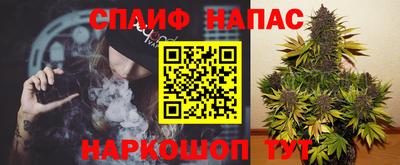 сатива Малгобек