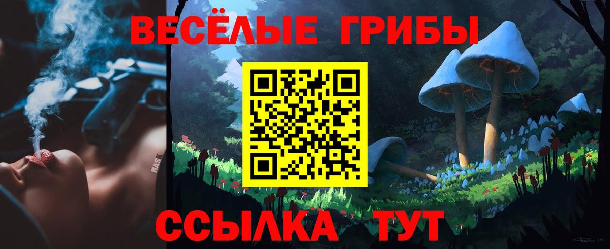 купить   Галлюциногенные грибы Psilocybine cubensis  Углич  Вход с VPN  Псилоцибиновые грибы MAGIC MUSHROOMS 