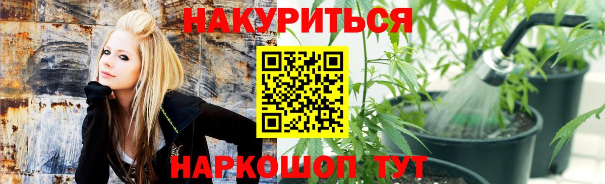 Бошки марихуана планчик Углич